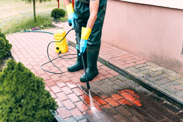 Professional Pressure Washing in Stanley, VA